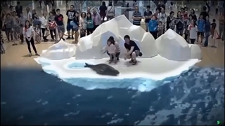 تکنولوژی حیرت انگیز هولوگرام 7 بعدی