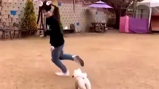 ~ Permission to Dance ~