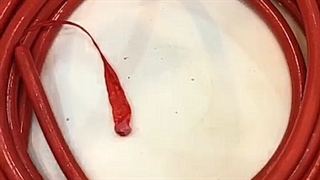 سوسیس و کالباس بخوریم یا نه؟؟