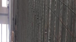 اجرای سقف عرشه فولادی مشهد 09121505650