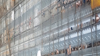 اجرای سقف عرشه فولادی اهواز 09121505650