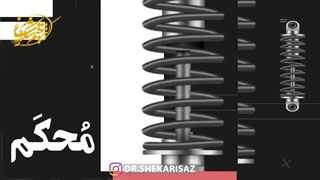 میثم شکری ساز کارآفرین و دکترای مدیریت