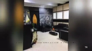 املاک بزرگ تی آر مرزداران