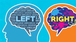 دوره های دکتر میثم شکری ساز