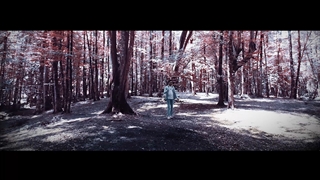 Abbas Rezagholi - Jang Music Video ( عباس رضاقلی - موزیک ویدیو جنگ )