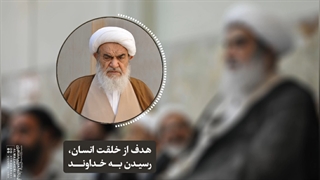 هدف از خلقت انسان، رسیدن به خداوند(آیت الله العظمی مظاهری)