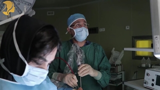 جراحی آندوسکوپی سینوس و ترمیم بینی