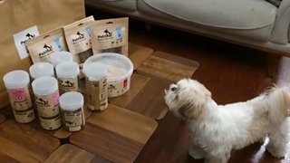 آنباکسینگ تشویقی های هربال و ارگانیک پترینا برای حیوانات خانگی