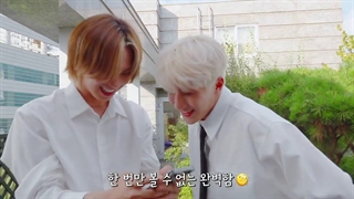 آپدیت یوتوب آسترو با ویدیوی پشت صحنه ی آپدیت تیک تاک رپ لاین(همون چالشی ک در مورد لگد کردن رو عن بود..کیوتااااا)