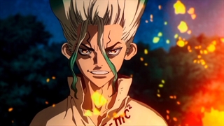 Dr. Stone