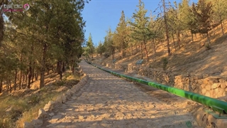 باباکوهی | شیراز