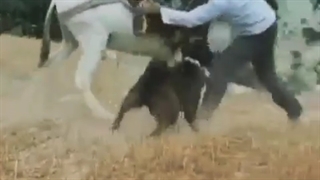 بمب خنده لطفادنبال کنند بزنین