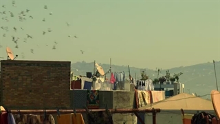 فیلم بیوه سیاه black widow 2021 زبان اصلی زیرنویس انگلیسی کامل