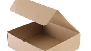 جعبه بسته بندی غذای رستورانی کلاسیک