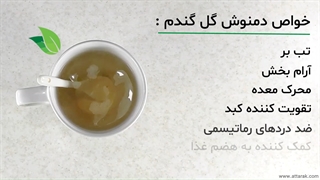 دمنوش گل گندم | عطاری آنلاین | عطارک