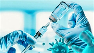 نگاهی به وضعیت مراکز واکسیناسیون بالای 65 سالهها