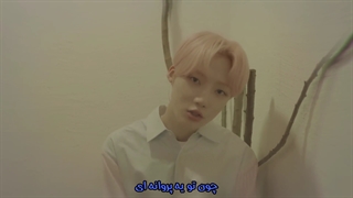 اسپشل کلیپ "Butterfly" از گروه The Boyz با زیرنویس فارسی چسبیده