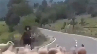 عیدتون مبارکک❤❤