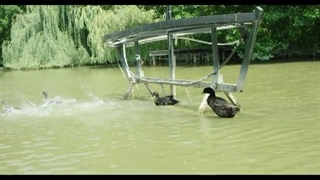 اوزیرمهدیزاده آهنگ جدید اوریینه سالما هچ نیی Uzeyir Mehdizade - Ureyine Salma Hec Neyi