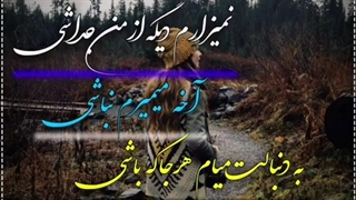 کلیپ عاشقانه شاد شاد