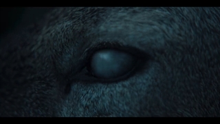 دانلود فیلم پادشاهی- آشین شمالی Kingdom- Ashin of the North 2021