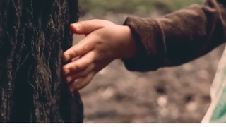 پیش بسوی جهانی زیباتر - وحید کریمی