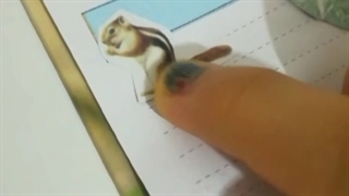 اسکرپ بوک یکتا جون