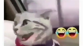 اولین سفر بعد از قرنطینهXD