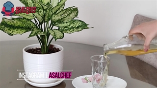آموزش شربت نعنا حرفه ای خنک , نگم براتون ! | AsalChef | عسل شف