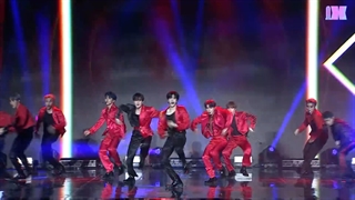 OMEGA X - VAMOS - SHOWCASE