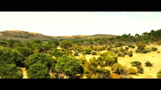 فیلم ۲۰۲۰ Rogue با زیرنویس فارسی چسبیده