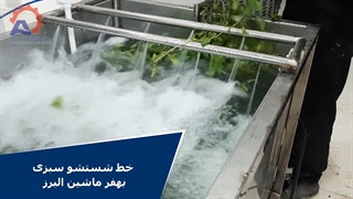 خط شستشو سبزی بهفر ماشین
