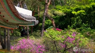 سفر به پایتخت زیبا کره‌جنوبی