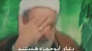 ماجرای شیعه شدن فرزند عبدالباسط قاری معروف