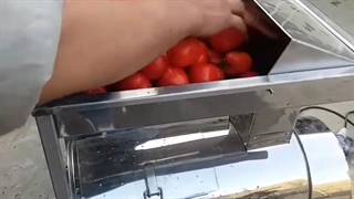 دستگاه آب گوجه گیری - رب گیری 250KG