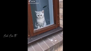 یکم بخندیم