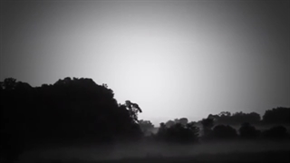 Is Painless  (M*A*S*H) w/lyrics ~ Johnny Mandel