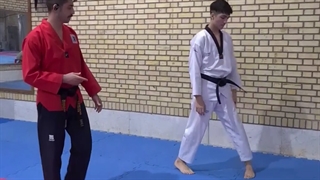 ضربه آپ چاگی