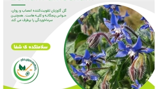 خواص گل گاو زبان