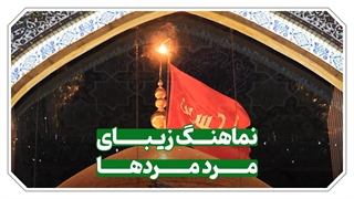 نماهنگ : مردِ مردها