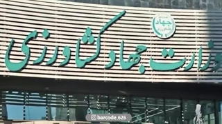 کشت فراسرزمینی