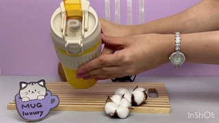 تراول ماگ دو قفله نی دار