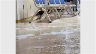 وضعیت تریدرهای تازه‌کار موقع نوسان قیمت