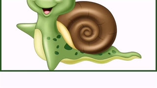 حلزون درونت را پیدا کن