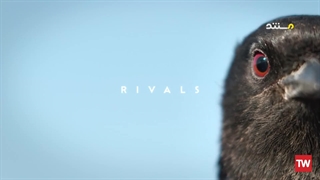 ابرطبیعی ؛ 2022 ؛ فصل 1 ؛ قسمت 4