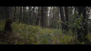 فیلم طعمه با دوبله فارسی/ Prey 2022