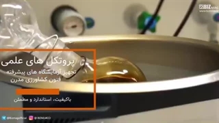 هات چاکلت با قارچ گانودرما