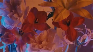 دانلود آهنگ محمد مهاجر ای داد