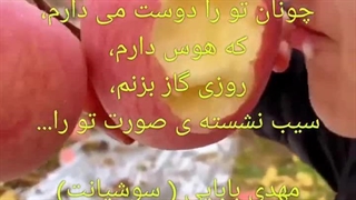 ویدیو شعر، مهدی بابایی ( سوشیانت )