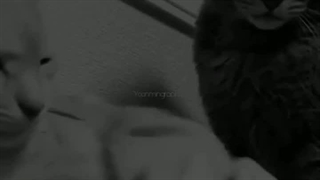 وقتی جیمین میبینه یونگی داره با یکی دیگه حال میکنه"